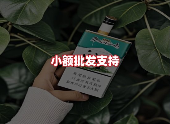 专业团队